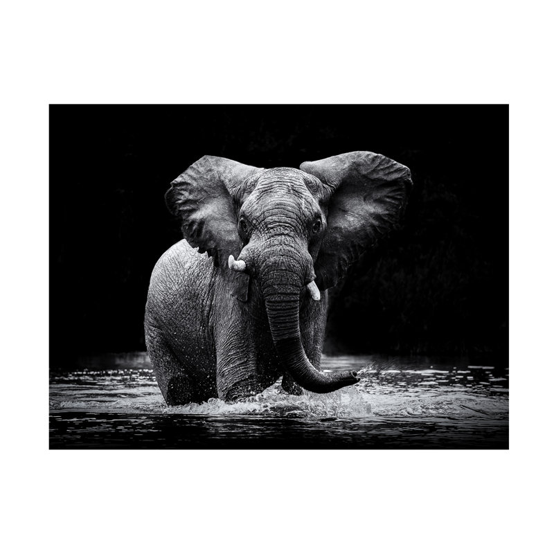 Wrapped Canvas Wall Art - Gorazd Golob 'Power 1' Wall Art for Living Room, Bedroom, or Office Décor - 35X47, 35" H x 47" W