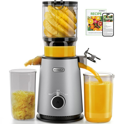 Presse-agrumes à froid avec presse-agrumes à gros débit de 4,35 po, machine à jus de fruits entiers à mastication lente