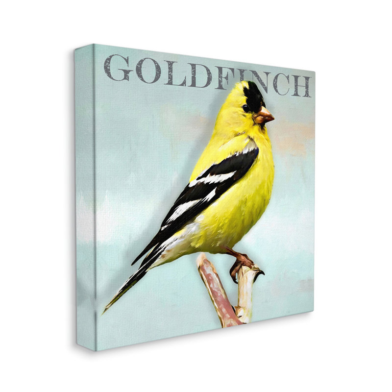 Portrait d'un oiseau chardonneret jaune, texte rustique par Alpenglow, L 17 po x H 17 po, Toile tendue