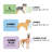 Faux Sheepskin & Suede Deluxe Orthopedic Dog Bed-67186776-67186779