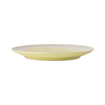 Dinner Plate