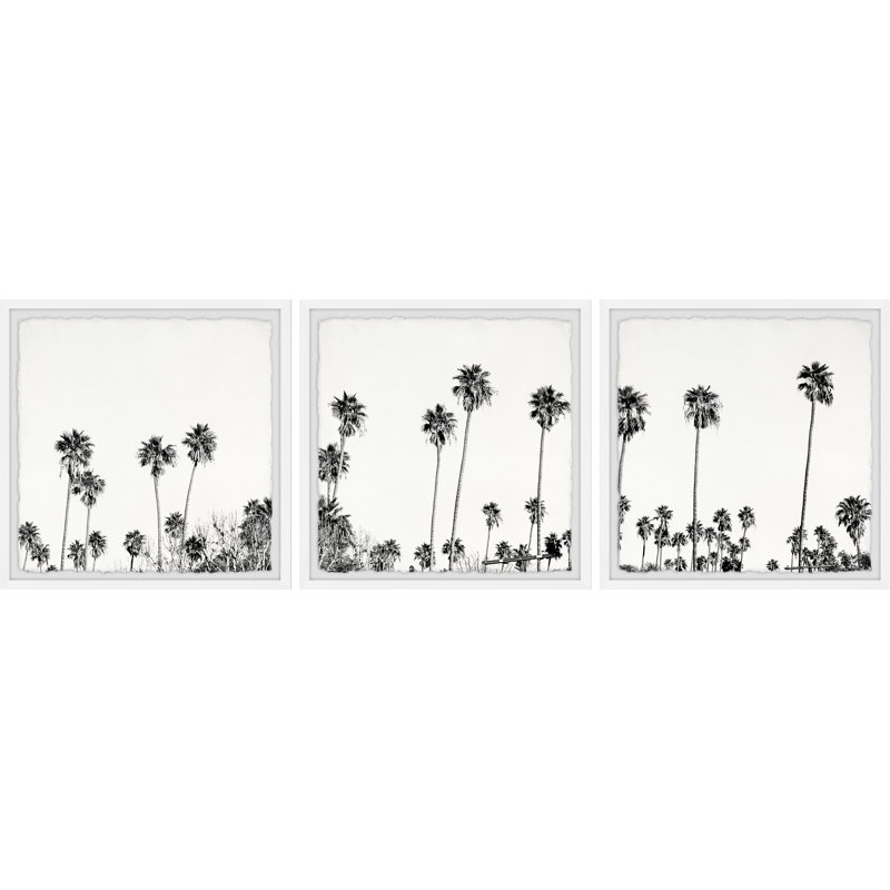 B&W Coco Tree Farm par Marmont Hill - ensemble de 3 photos encadrées, H 24 po x l 24 po x P 1,5 po