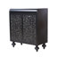Armoire d'appoint Art avec 2 portes, rangement décoratif vieilli pour le vestibule et le salon, élégance intemporelle et grand rangement