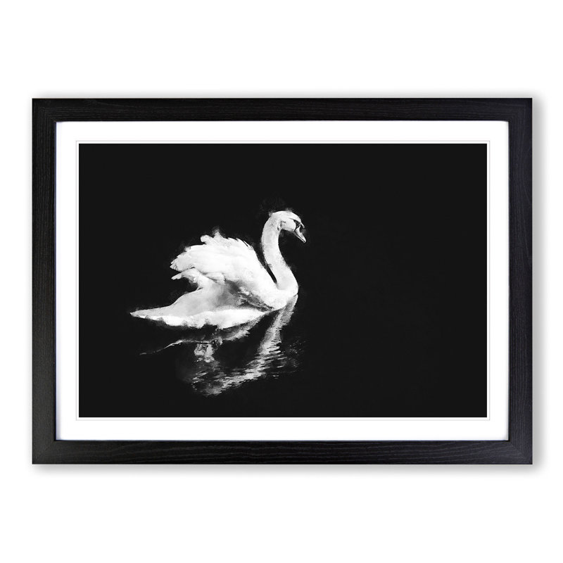 Swan - Picture Frame Painting Print, Black Framed, 33cm H x 45cm W x 2cm D