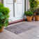 Machine Washable Indoor/Outdoor Cicel ACN1172 Plum Rug