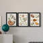 Collection de coquillages I - ensemble de 3 cadres photo sur toile-2017753909-2017753910