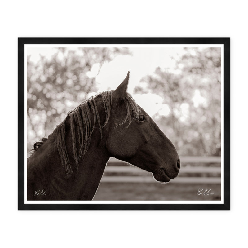 Horse Profile Framed Photographic Print