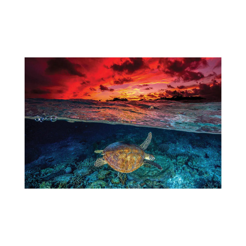 Sunset Swimming by Jordan Robins - Wrapped Canvas Print, 20.32 cm H x 30.48 cm W