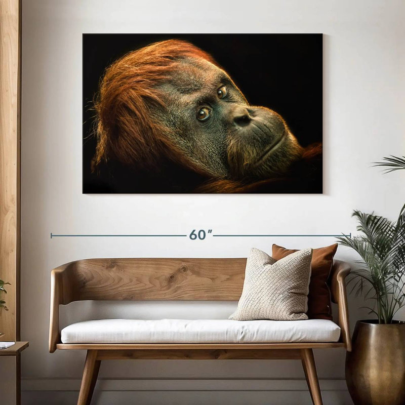 Brampt Dramatic Orangutan, 32" H x 48" W