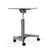Metal 43.5'' h x 27.5'' w Adjustable Standing Desk