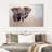 Brampt Young Savanna Elephant-108692511