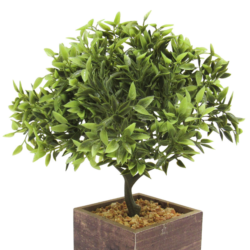 Faux Bonsai Plant and Tree