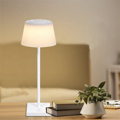 Ahlanni Metal Table Lamp