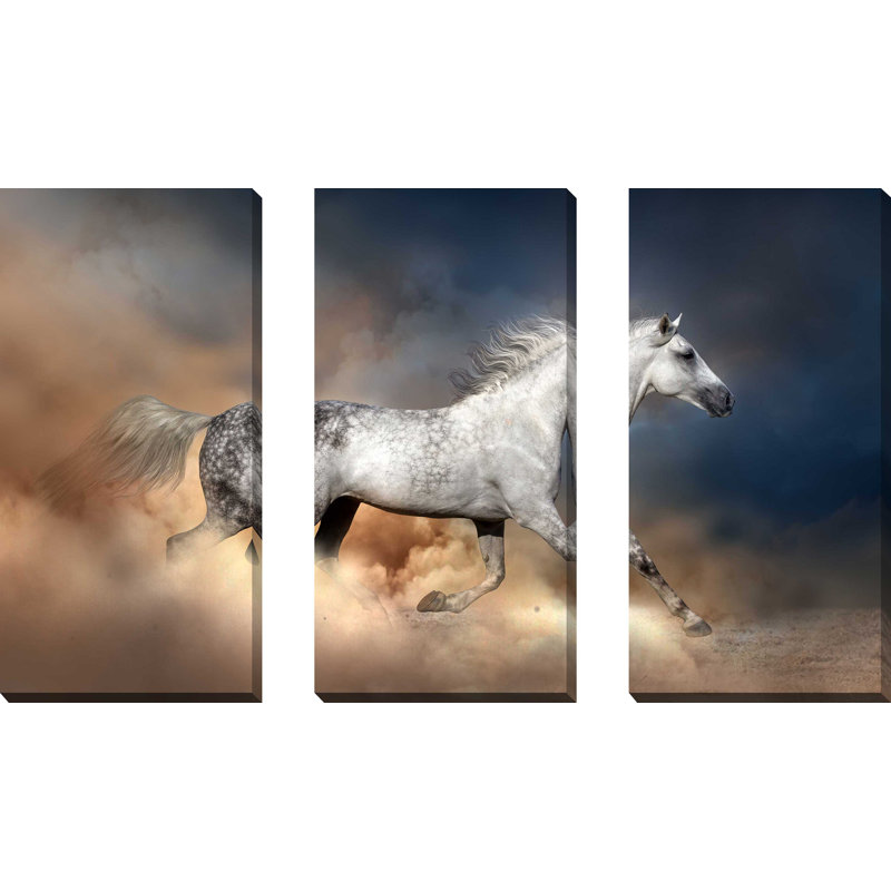 Cheval sauvage - ensemble de 3 reproductions de photos sur toiles tendues, H 24 po x l 36 po x P 0,75 po