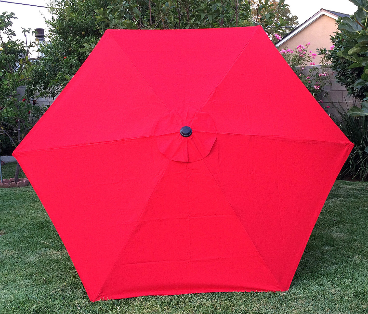 Replacement Canopy Bellrino Color: Red