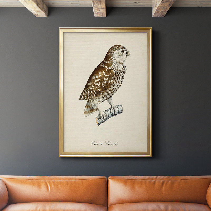 «French Owls I», impression sur papier, Or, H 36,5 po x l 26,5 po x P 1 po