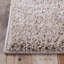 Tapis beige à poils longs 4 pi x 6 pi résistant aux taches