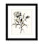 Botanical Seed I by - impression-87850865-87850866