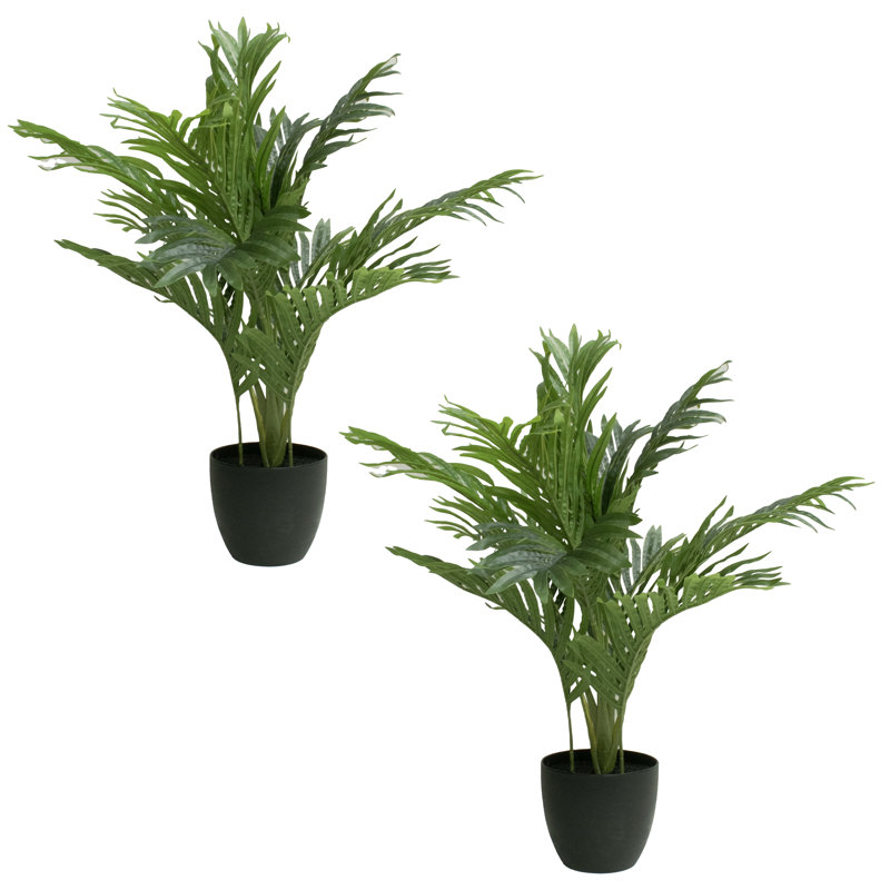 Chamberlain 24'' Faux Palm Tree in Planter, Black, 2-pack
