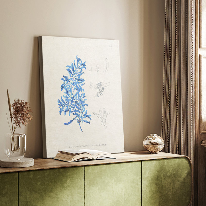 Blue Marine Algae VI - Gallery Cavas