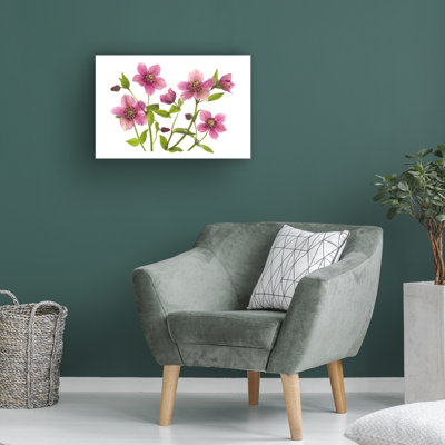 «Helleborus X Hybridus Tutu sur toile» par Jacky Parker, reproduction