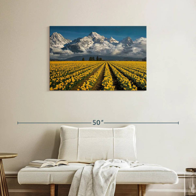 Alvord fleurs dans un champ, H 24 po x l 36 po
