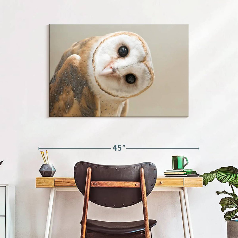 Brampt Barn Owl Gaze, 26" H x 39" W
