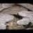 Jerrod Refractory Cement Logs-1749077775