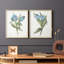 «Blue Tulip Picks I», reproduction encadrée de qualité supérieure - prête à être accrochée - aucun clou requis - aucun clou requis-1311136974-1311136963