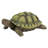 Gilbert, the Box Turtle Statue