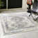Charlotte Oriental Indoor Rug