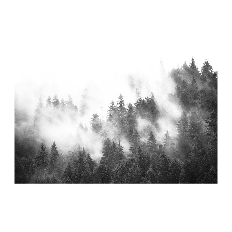 Thelen Wallpaper, 360 x 250cm