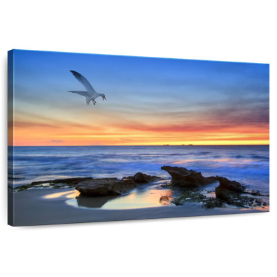 Plage australienne paisible Gillard