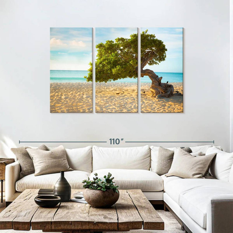 Arbre Gillard Divi-Divi à Aruba, H 48 po x l 74 po