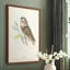 «Little Owl», reproduction encadrée - bois massif-689037430-689037429
