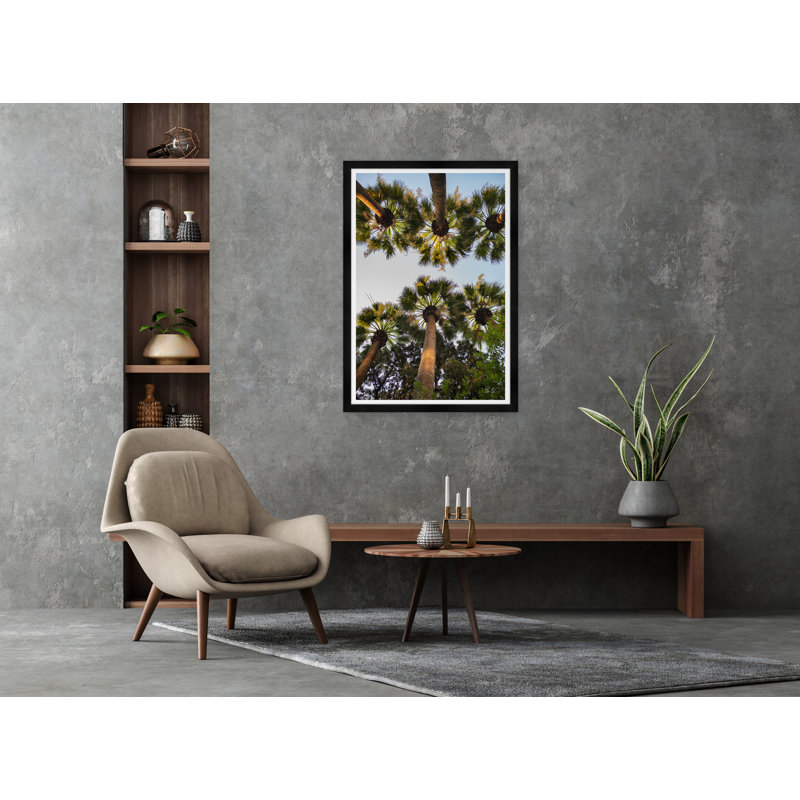 Athens Palm II Print by Tim Klein