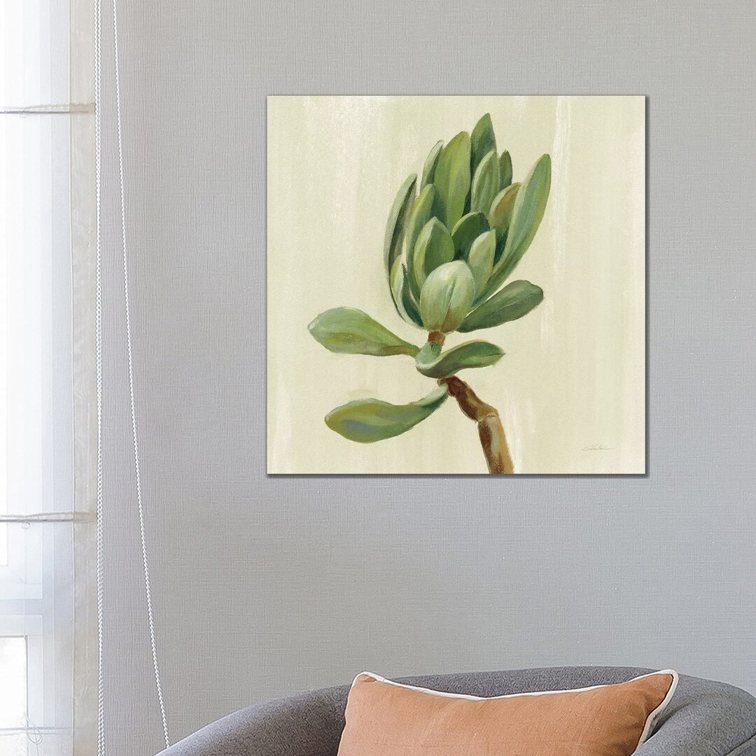 Front Yard Succulent III von Silvia Vassileva - Galerie-verpackte Leinwand Giclée auf Leinwand