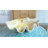 22.5X14x10" Decorative Shell Bowl-1061228758-1061228760