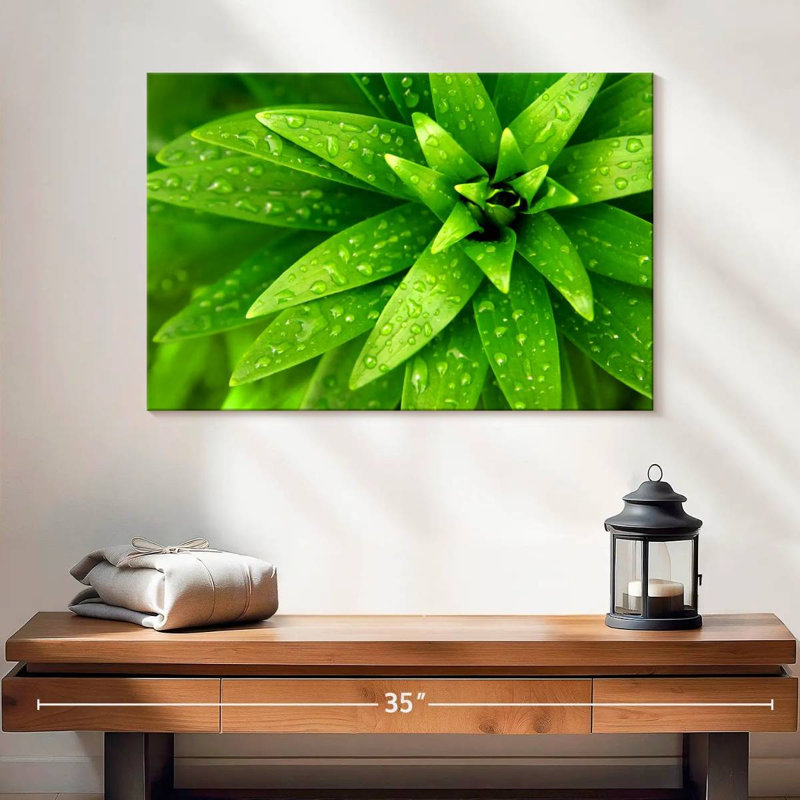 Gouttelettes Harnek sur feuilles vertes, H 16 po x l 24 po