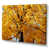 Wrapped Canvas