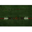 Green Tribal  Accent Oriental Rug 3x5