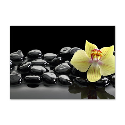 Orchid - Wrapped Canvas Print