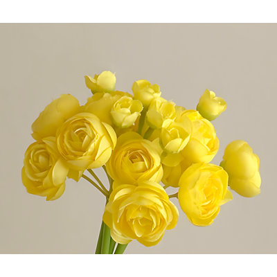 Bouquet de pivoines