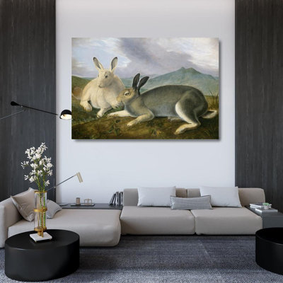 "Arctic Hare" by  John James Audubon - Gallery Wrap Canvas Wall Art