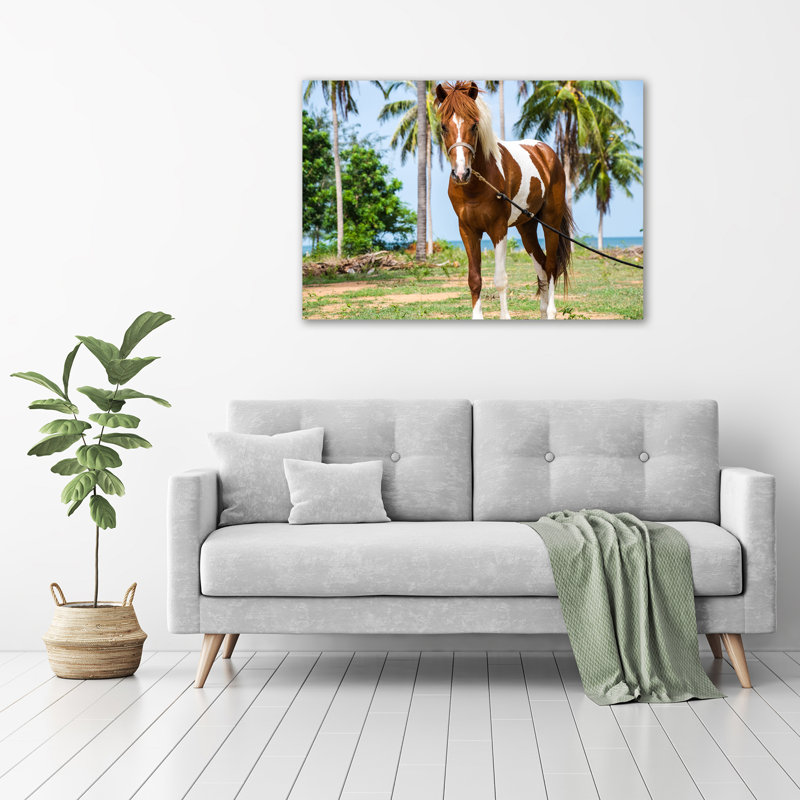 Pinto Horse - Wrapped Canvas Print