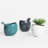 Zygi Bird Gloss Ceramic Planter Pot for 4" Nursery Pots (White)-2050265104
