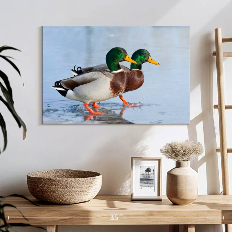 Brampt Mallard Duck Duo, 16" H x 24" W