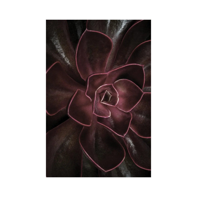 Secret XVI by Design Fabrikken - Wrapped Canvas Print, 20.32 cm H x 30.48 cm W