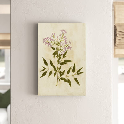 Botanical Impression V - Painting Print