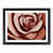 Black Framed selected